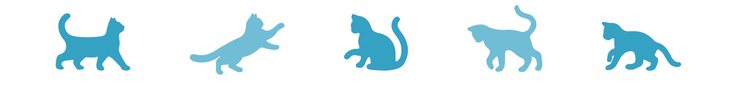Разделитель_Кошки