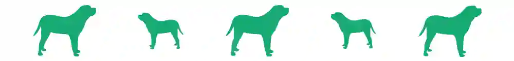 divider-dog